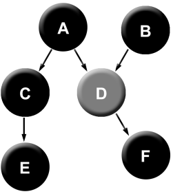 Complex cause obs D