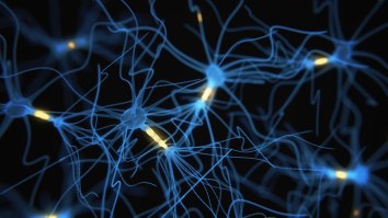 FLARE-Technique-Offers-Snapshots-of-Neuron-Activity