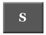 System