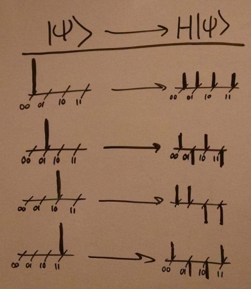 37160831_10216929417257740_3127265576272003072_n-1.jpg