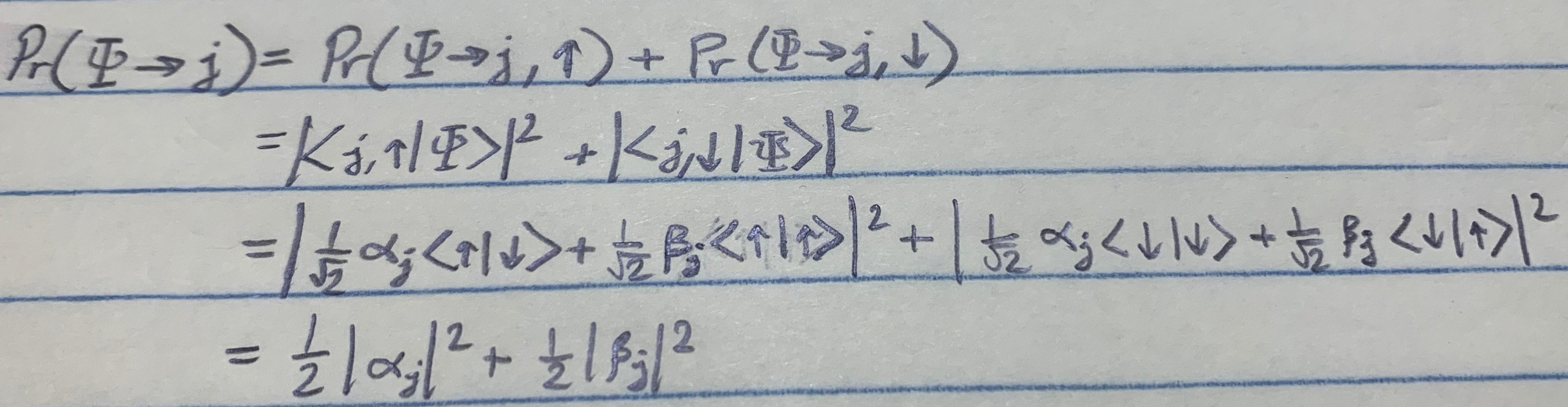 54432750_422324315183100_8833216438886989824_n-e1552873260955.jpg