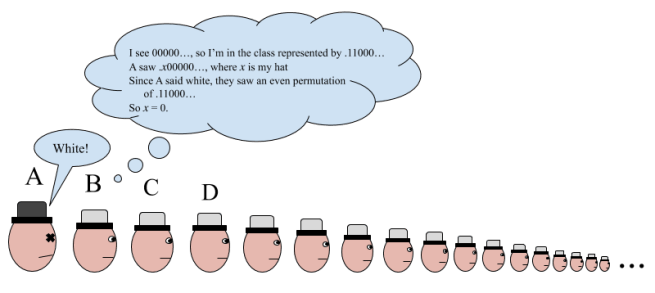 Hat Puzzle (6)